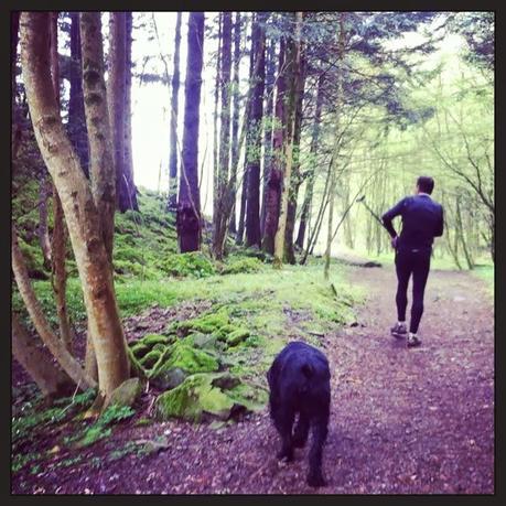 Le dimanche : malédiction pour les sportifs blessés