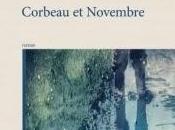 Corbeau Novembre Stéphane Achille