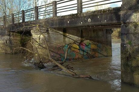 La Meuse à Brixey-aux-Chanoines