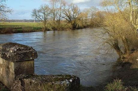 La Meuse à Brixey-aux-Chanoines