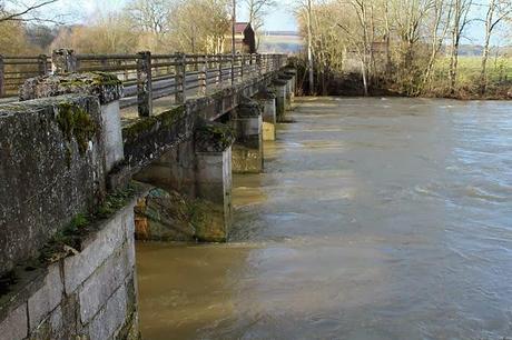 La Meuse à Brixey-aux-Chanoines