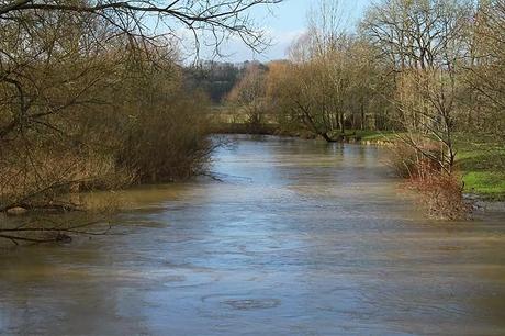 La Meuse à Brixey-aux-Chanoines