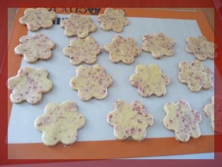 Biscuits aux cranberries