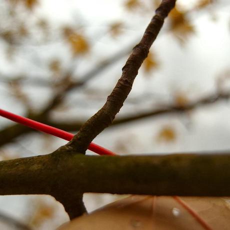 もののあはれ - Mono no Aware Project #5