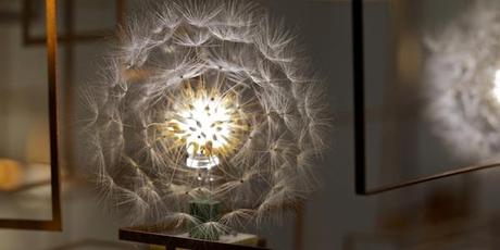 DESIGN : Drift project