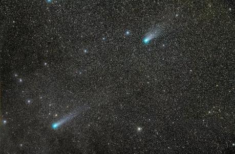 Les comètes X1 Linear et Lovejoy photographiées le 10 février 2014 par Michael Jäger