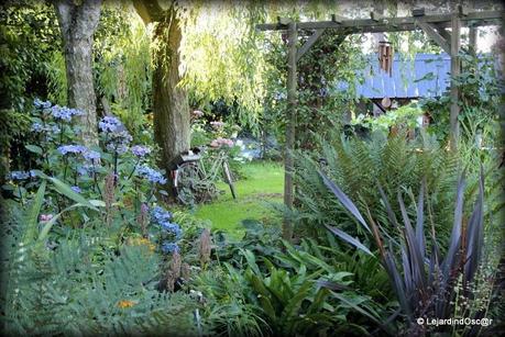 Rétro du jardin Août 2013...