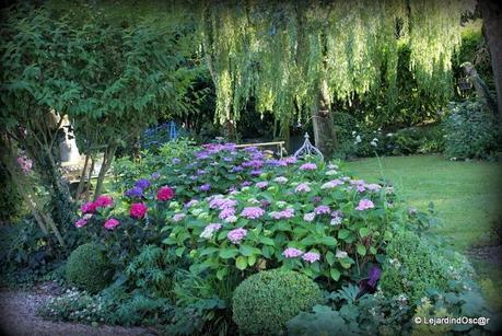 Rétro du jardin Août 2013...