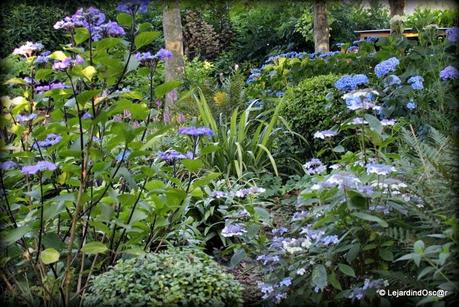 Rétro du jardin Août 2013...