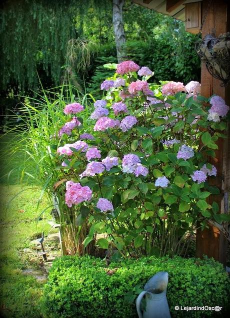 Rétro du jardin Août 2013...