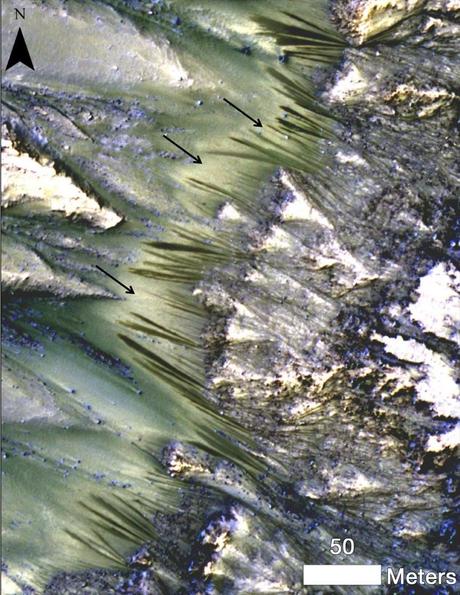 Changements saisonniers saisissants sur les pentes du cratère Palikir
