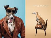 Trussardi William Wegman 2014