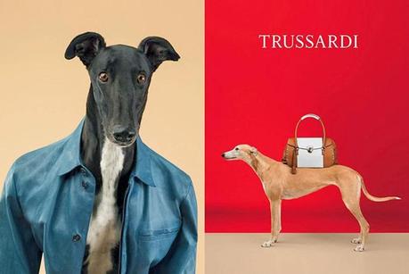 trussardi spread ad by wegman 2 IIHIH