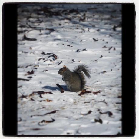 Let's go back to Costa Rica, histoire d'oublier cet hiver in Chicago... image