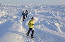 Marathon du Pôle Nord