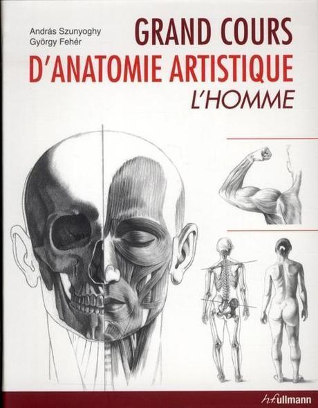 Cours anatomie artistique
