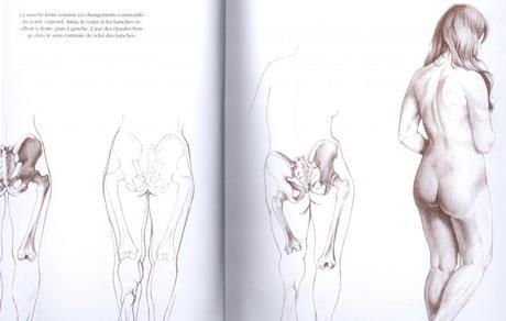 Anatomie croquis