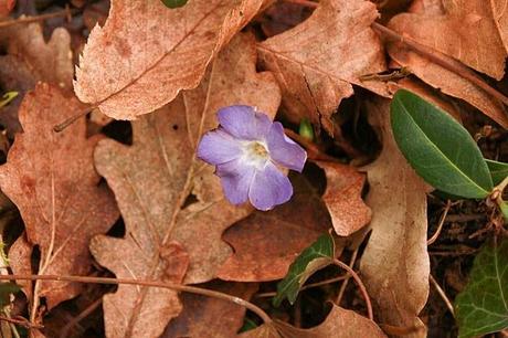 Bois sous Roche, au cœur de l'hiver