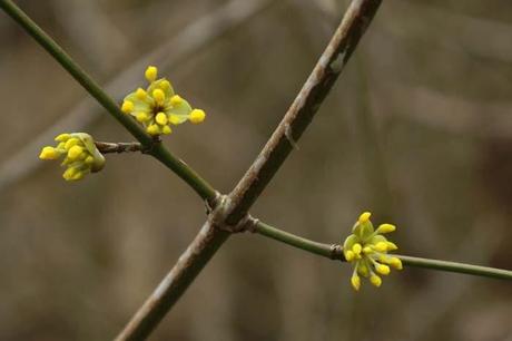 Bois sous Roche, au cœur de l'hiver