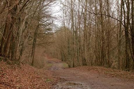 Bois sous Roche, au cœur de l'hiver