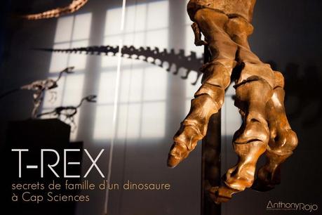 cap_sciences_t-rex_©_Anthony_Rojo
