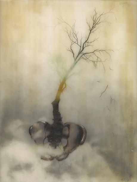 Brooks Salzwedel