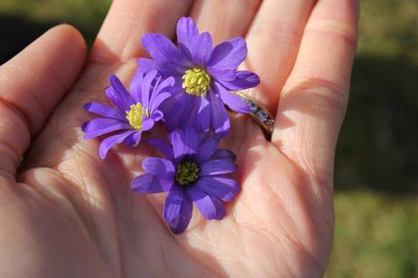 Détails du dimanche