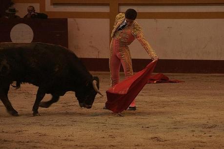 MAGESQ : TRIOMPHE D'ANDRES ROCA REY DSC00504