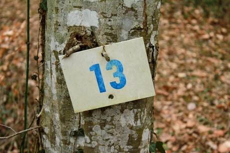 Un peu de couleur dans la grisaille, et un numéro porte-bonheur (en attendant le muguet...)