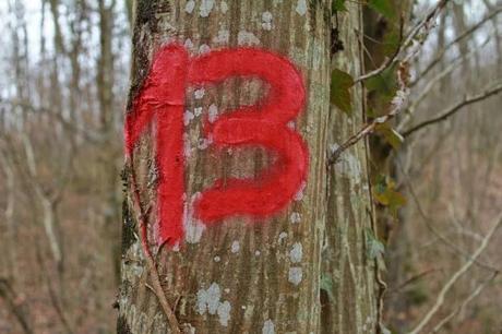 Un peu de couleur dans la grisaille, et un numéro porte-bonheur (en attendant le muguet...)