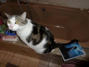 SAMSUNG CAMERA PICTURES