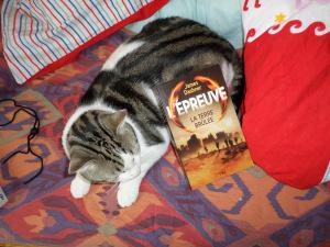 SAMSUNG CAMERA PICTURES