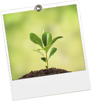 La To Do Green de la semaine – 17 au 23 février 2014 Balade dans les champs - Tour Montparnasse 56 - JulieFromParis