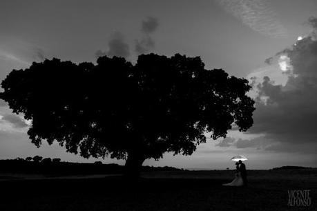 Vicente Alfonso Comment saisir lamour ? Les reportages de mariage de Vicente Alfonso