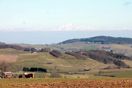 Serait-ce déjà le printemps?