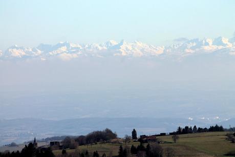 Serait-ce déjà le printemps?