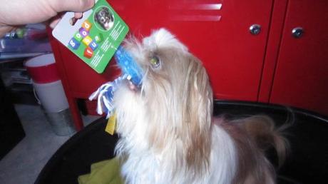 woufbox st valentin 2014