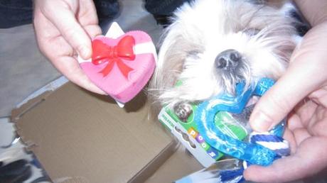 st valentin woufbox février 14