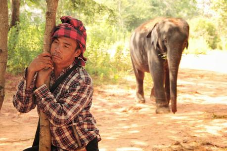 Surin: Elephants et immersion Issan [HD]