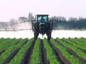 Pesticides vieilles ficelles Séralini remet couvert