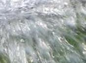 Pénurie d’eau Cameroun crise monopole