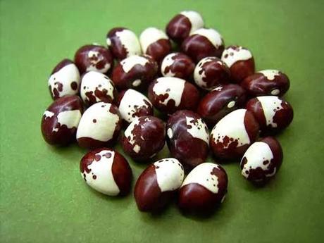 18/02 Jean Luc Mélenchon, le boulanger maladroit