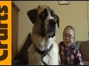 Atteint d’une maladie rare, enfant réconforté chien abandonné