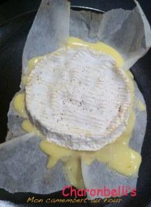 Mon camembert au four (1)- Charonbelli's blog de cuisine