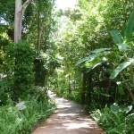 ÉVASION: L’expérience du paradis sur l’île de Koh Kood
