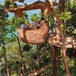 ÉVASION: L’expérience du paradis sur l’île de Koh Kood