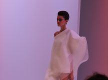 Stephane Rolland - 10