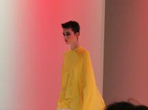 Stephane Rolland - 65