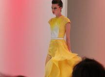 Stephane Rolland - 71