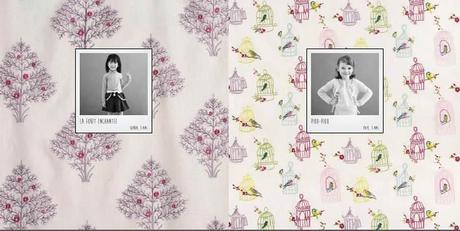 Zoom sur… Pierre Frey